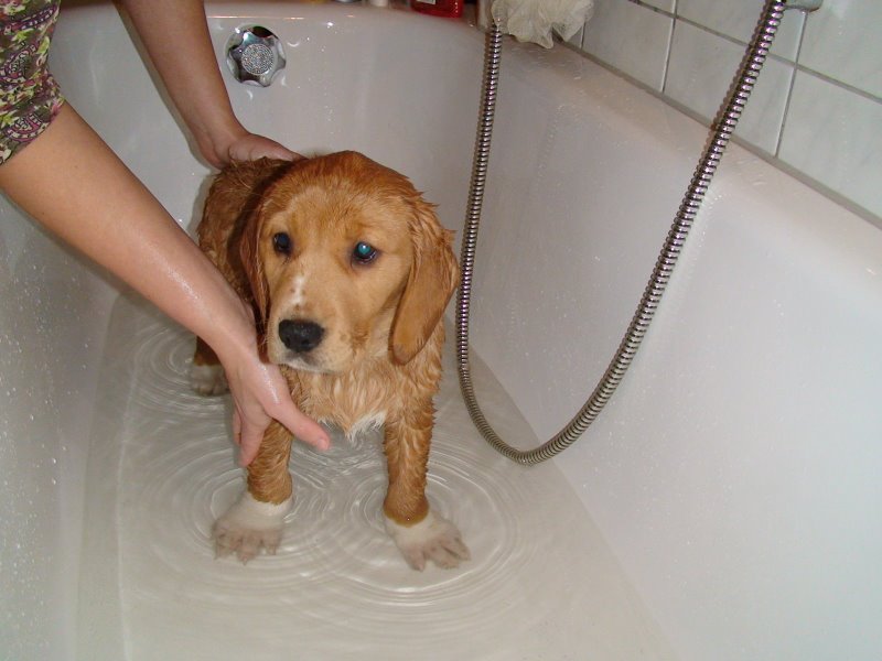 Stella beim baden
