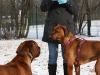 Hundetreffen am 20.02.2011