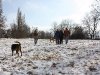 Hundetreffen am 20.02.2011