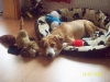 Spike mit 5 Monaten.