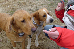 Spike und Stella in Leipzig